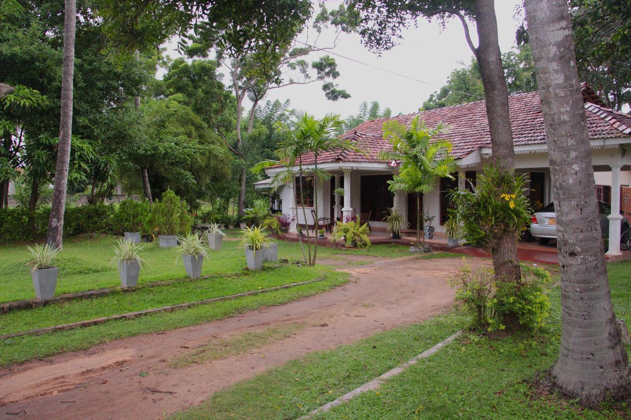 Coco Home Negombo Exteriér fotografie