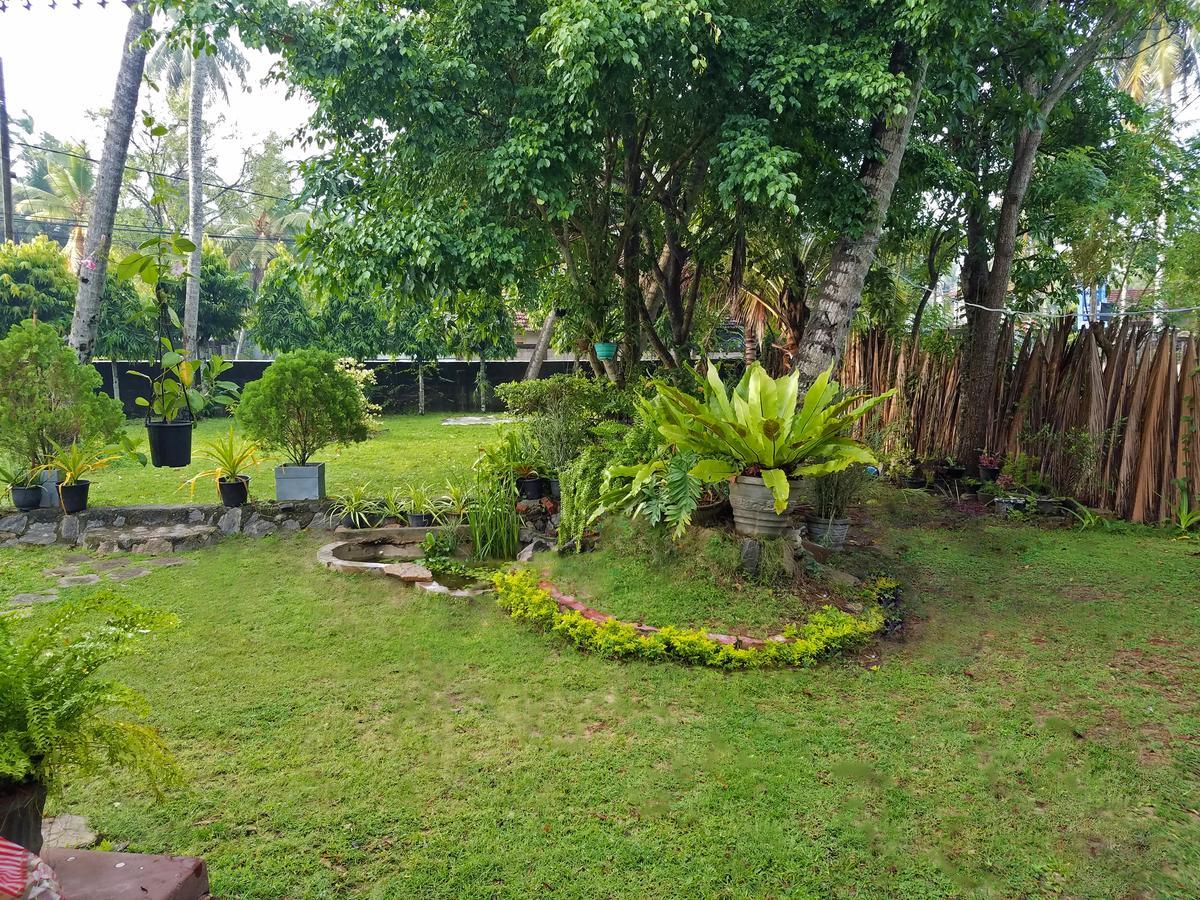 Coco Home Negombo Exteriér fotografie